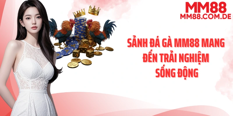 Sảnh đá gà MM88 mang đến trải nghiệm sống động