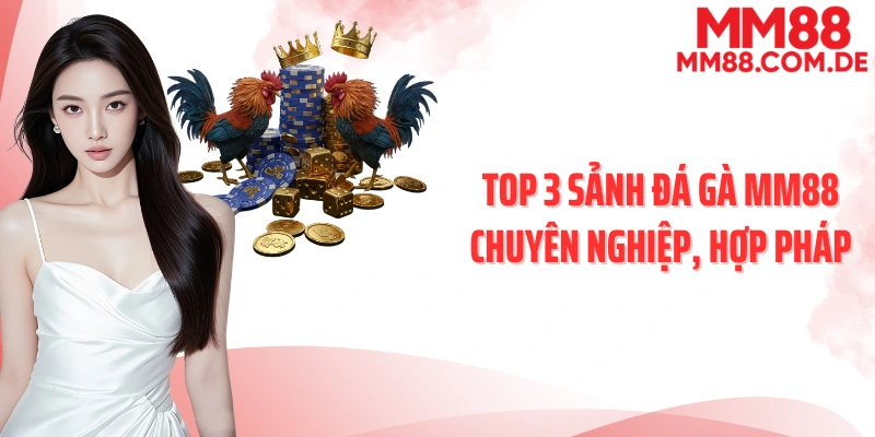 Top 3 sảnh đá gà MM88 chuyên nghiệp, hợp pháp