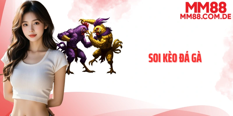 Soi kèo đá gà