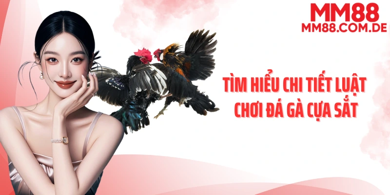 Tìm hiểu chi tiết luật chơi đá gà cựa sắt